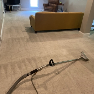 Photo of Regal Carpet Upholstery and Tile Cleaning