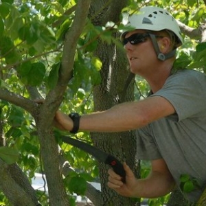 Photo of Royal Tree Service And Landscaping