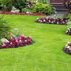 Photo of Royal Tree Service And Landscaping
