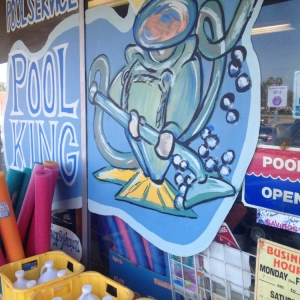 Photo of Pool King