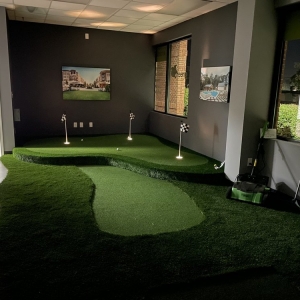 Alpharetta Purchase Green Artificial Grass