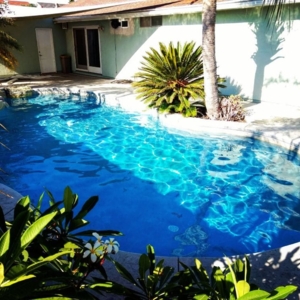 Photo of World Pool Cleaning
