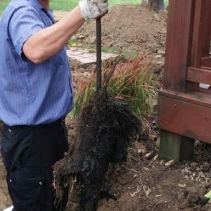 Photo of 614-Plumber