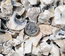 Photo of Carolina Supplies And Materials