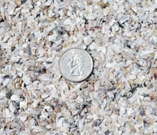 Photo of Carolina Supplies And Materials