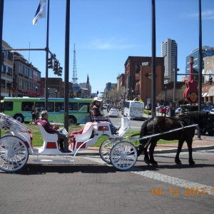 Photo of Sugar Creek Carriages