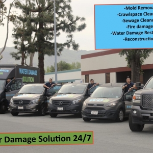 Photo of Water Damage Solution