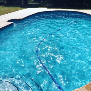Photo of Carp pool services