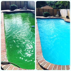 Photo of Carp pool services