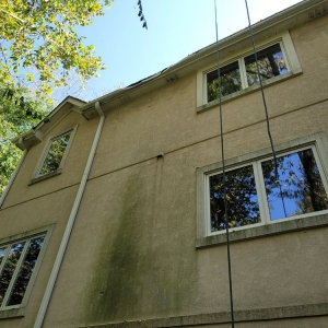 Photo of Diaz Lawn And Tree Service