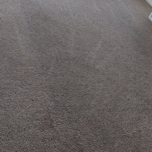 Photo of Steam Vs. Soil Carpet Cleaning