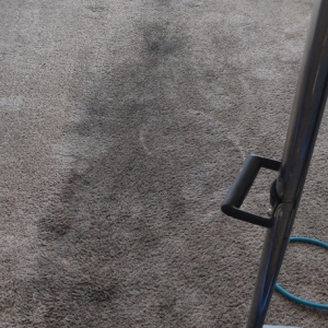 Photo of Steam Vs. Soil Carpet Cleaning