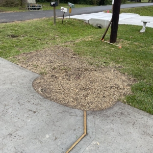 Photo of All Time Stump Grinding & Land Services