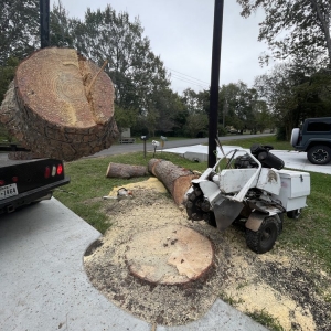 Photo of All Time Stump Grinding & Land Services