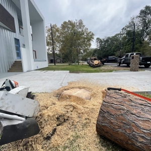 Photo of All Time Stump Grinding & Land Services