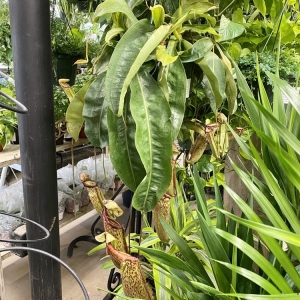 Photo of Millcreek Gardens