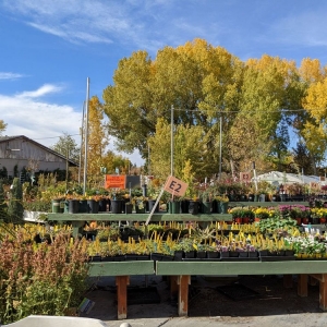 Photo of Millcreek Gardens