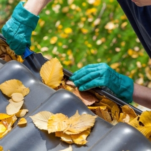Photo of All Gutter Cleaning