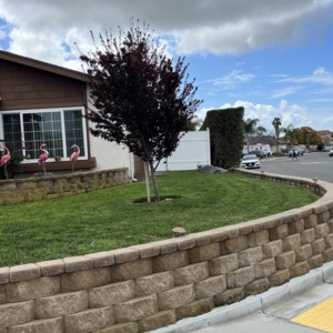 Photo of Matias Landscaping