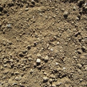Photo of Rock N Ranch Transport