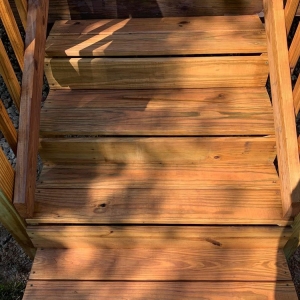 Orange Park Just Another Deck