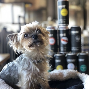 Photo of Harmonic Brewing