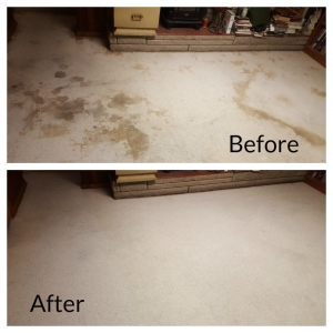 Photo of Chem-Dry By Kevin Jones