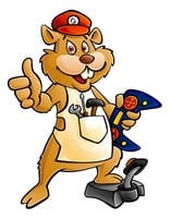Photo of Gophermods
