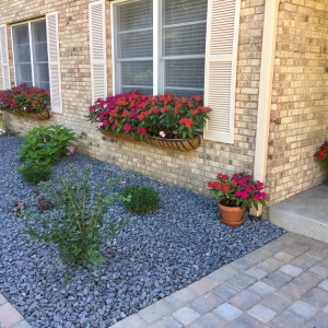 Photo of Dreamscapes Outdoor Services