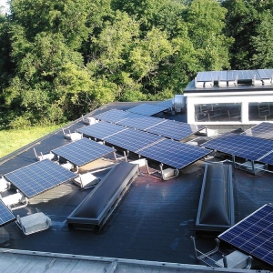 Photo of Wildcat Solar