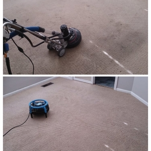 Photo of Spring Clean Carpets