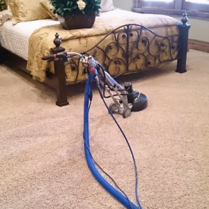 Photo of Spring Clean Carpets