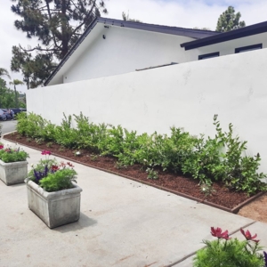 Photo of Blue Line Stucco