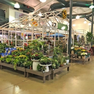 Photo of Pike Nurseries