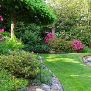 Photo of Pro Advantage Landscaping LLC