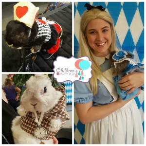 Photo of Children's Party Plus