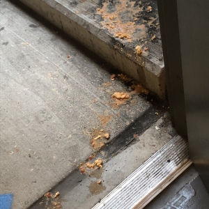 Photo of Avalon at Wesmont Station