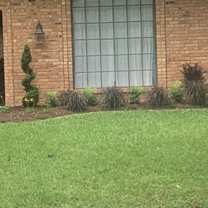 Photo of Precision Landscaping & Fence
