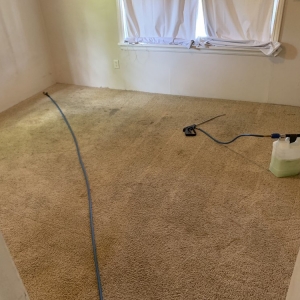 Photo of Accel Carpet Cleaning