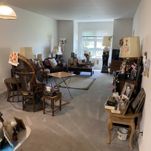 Photo of Accel Carpet Cleaning