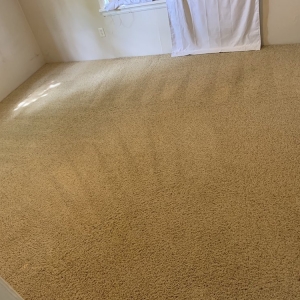 Photo of Accel Carpet Cleaning