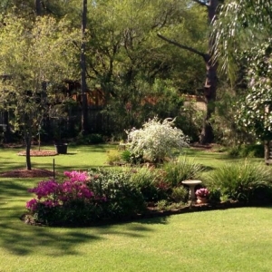 Photo of Precision Tree and Landscaping