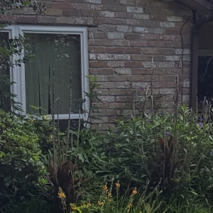 Photo of Precision Tree and Landscaping