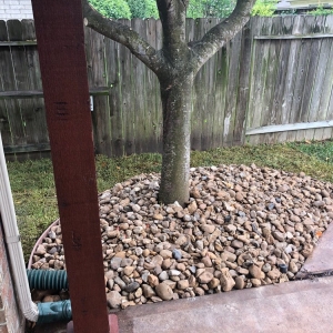 Photo of Precision Tree and Landscaping