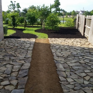 Photo of Precision Tree and Landscaping