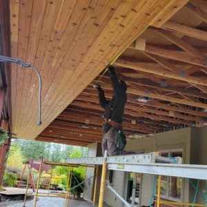 Photo of Signature Roof and Chimney