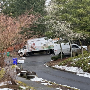 Photo of 2 Brothers Moving & Delivery