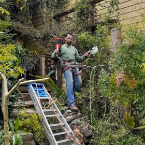 San Francisco Evergreen Tree & Gardening Service