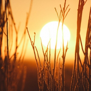 Stewart ARP Solar