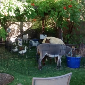 Photo of Barnyardville